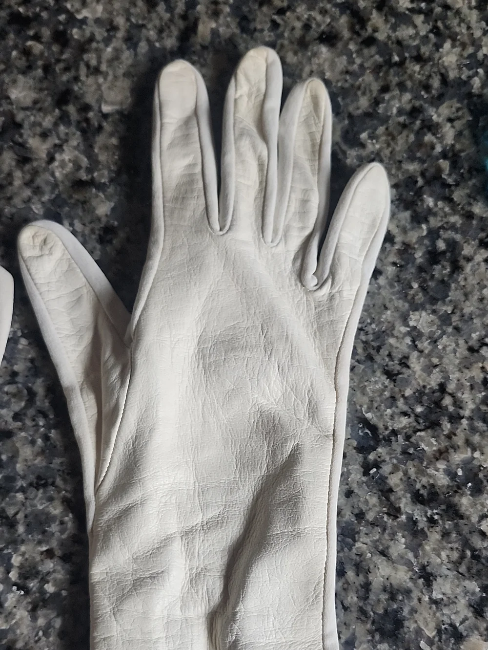 Vtg Van Raalte Ivory Leather Long Opera Gloves Size 8